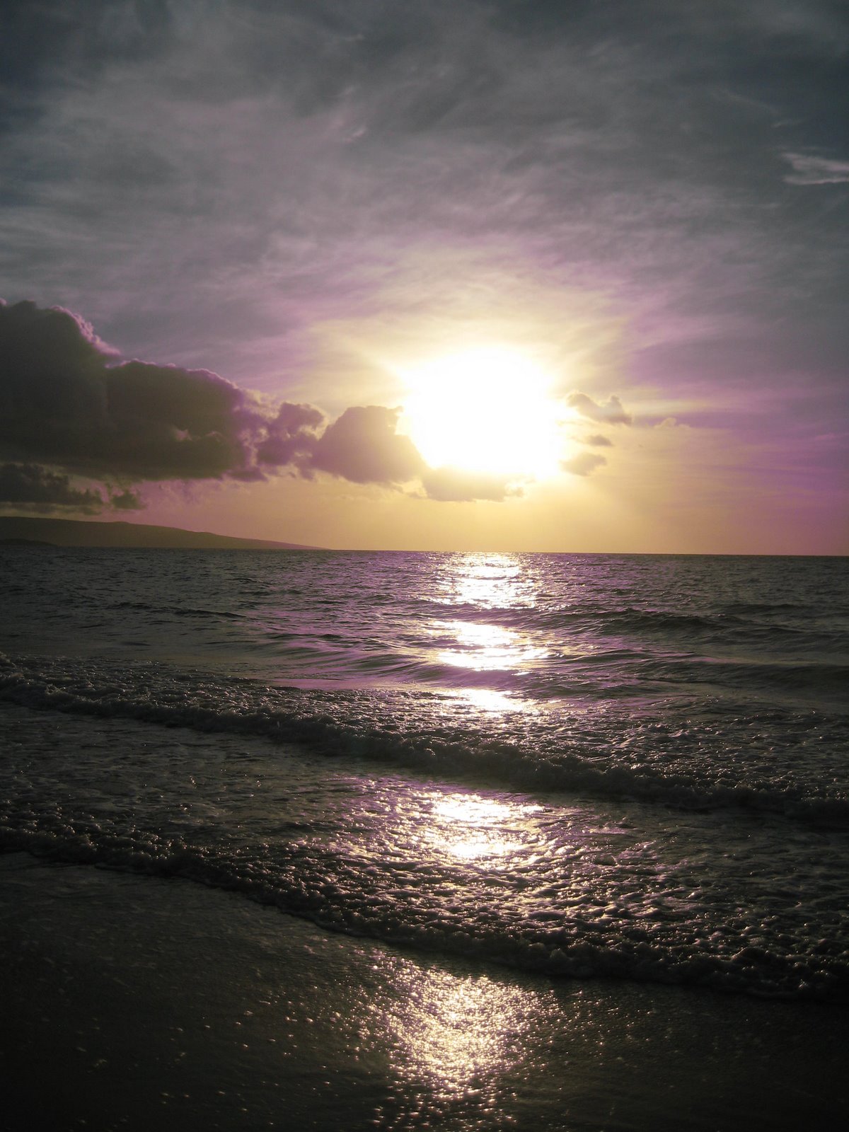 [IMG_8555.JPG]
