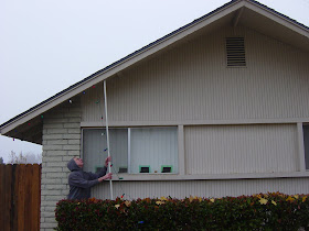 lights without ladder hybiscus straight works looking
