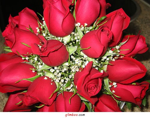 [rosza+red.jpg]