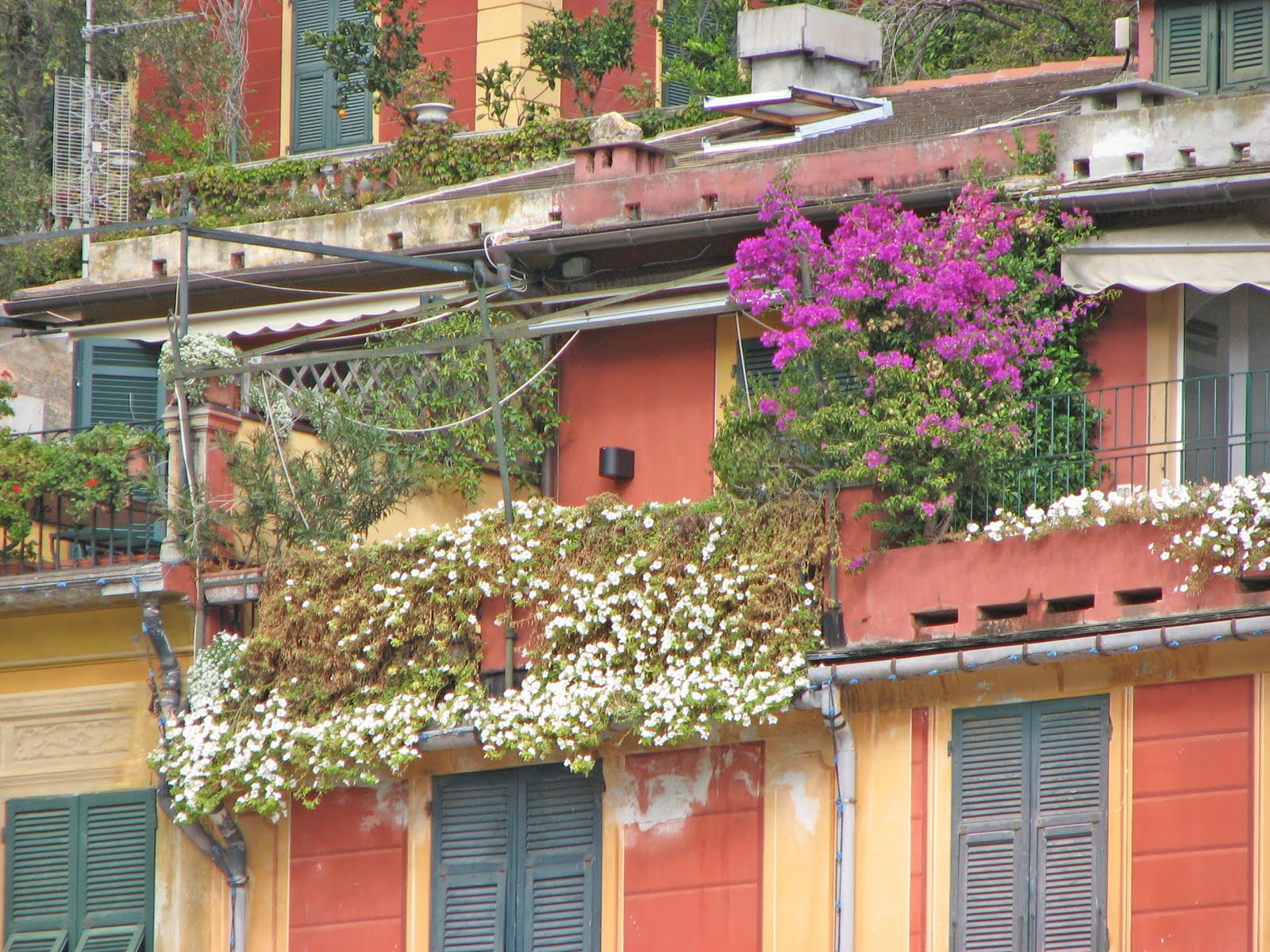[Flowered+Portofino+balconies.jpg]