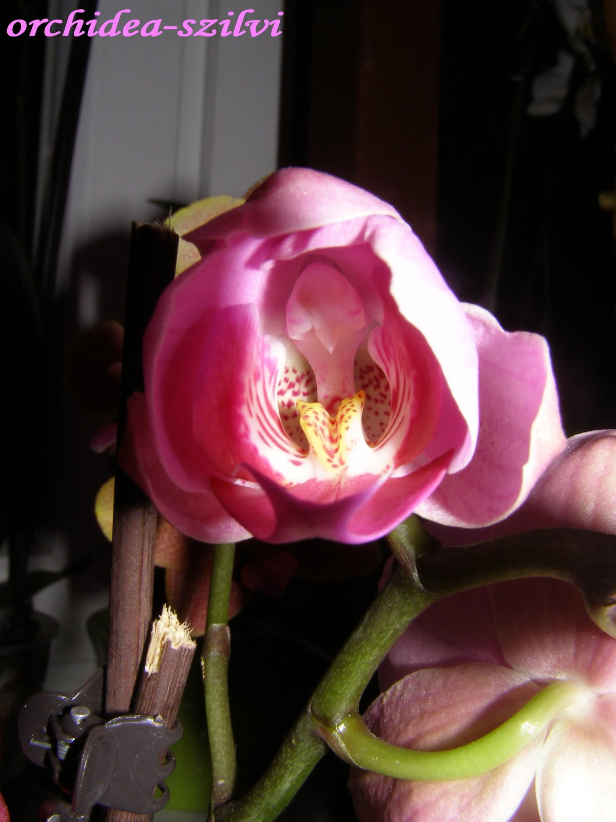[PC310658.JPG]