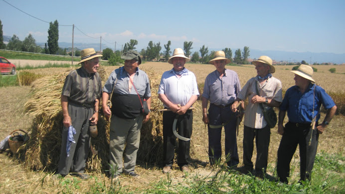 Els segadors fent-la petar