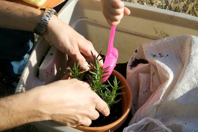 [Transplants+2009-04-11+(1).jpg]