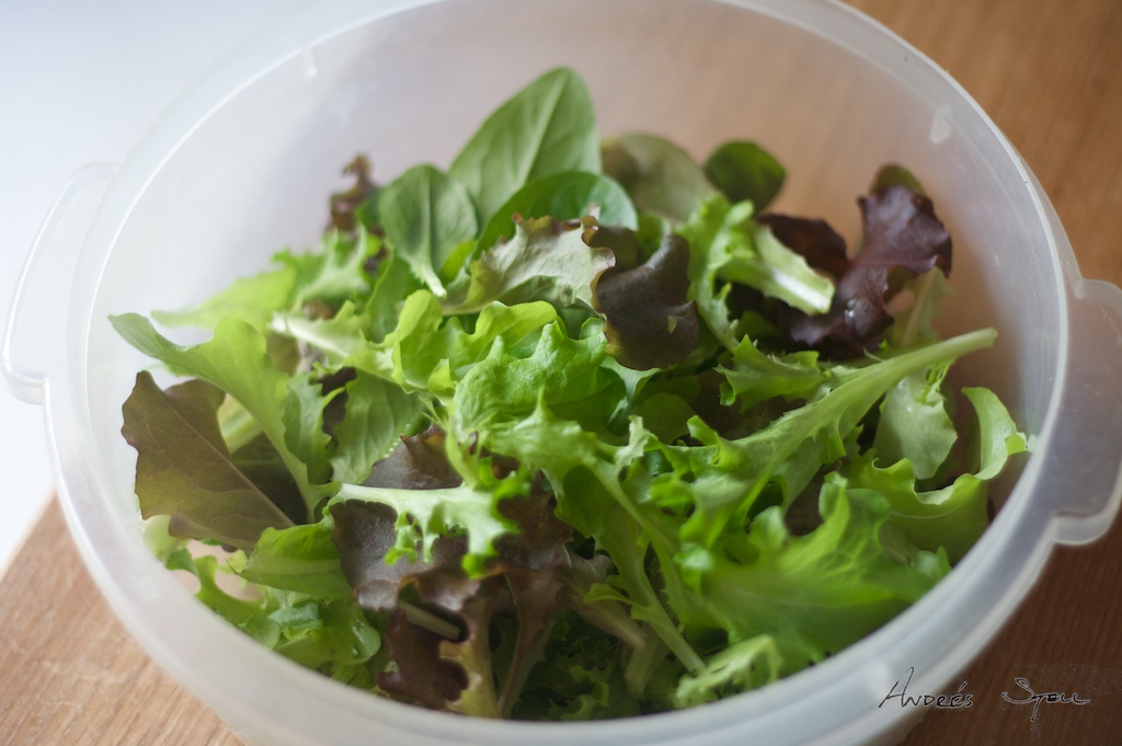 [Lettuce+Harvest+2009-05-04.jpg]