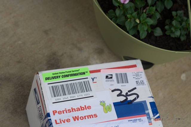 [One+Pound+of+Worms+2009-05-13.jpg]