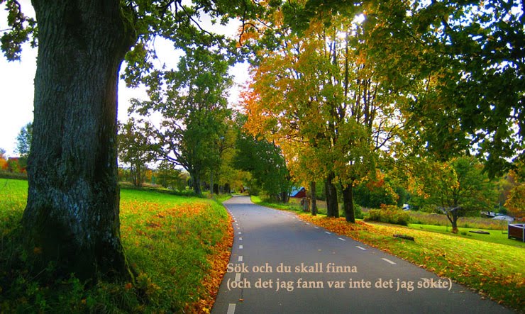 Sök och du skall finna