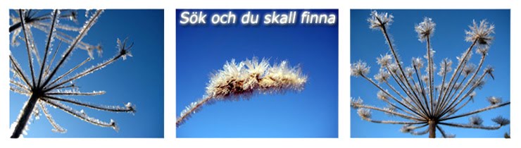 Sök och du skall finna