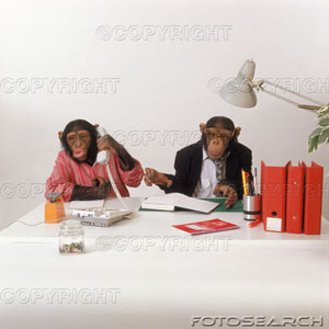 [macaco+3.jpg]