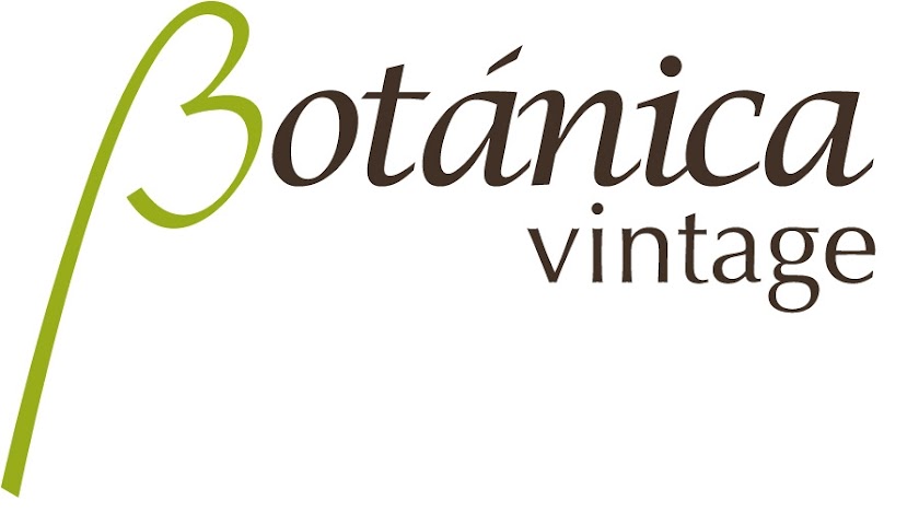 Botanica Vintage Shop