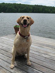 Maddie on Six Pound Creek