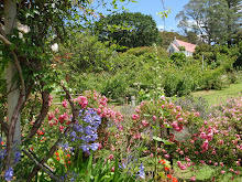 Partout en NZ des jardins de fleurs superbes