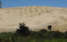 Les dunes de sable de la Ninety Mile Beach  ! Assez impressionnant !