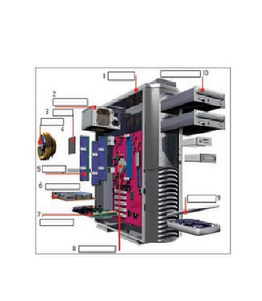 red lan juan pablo delgado