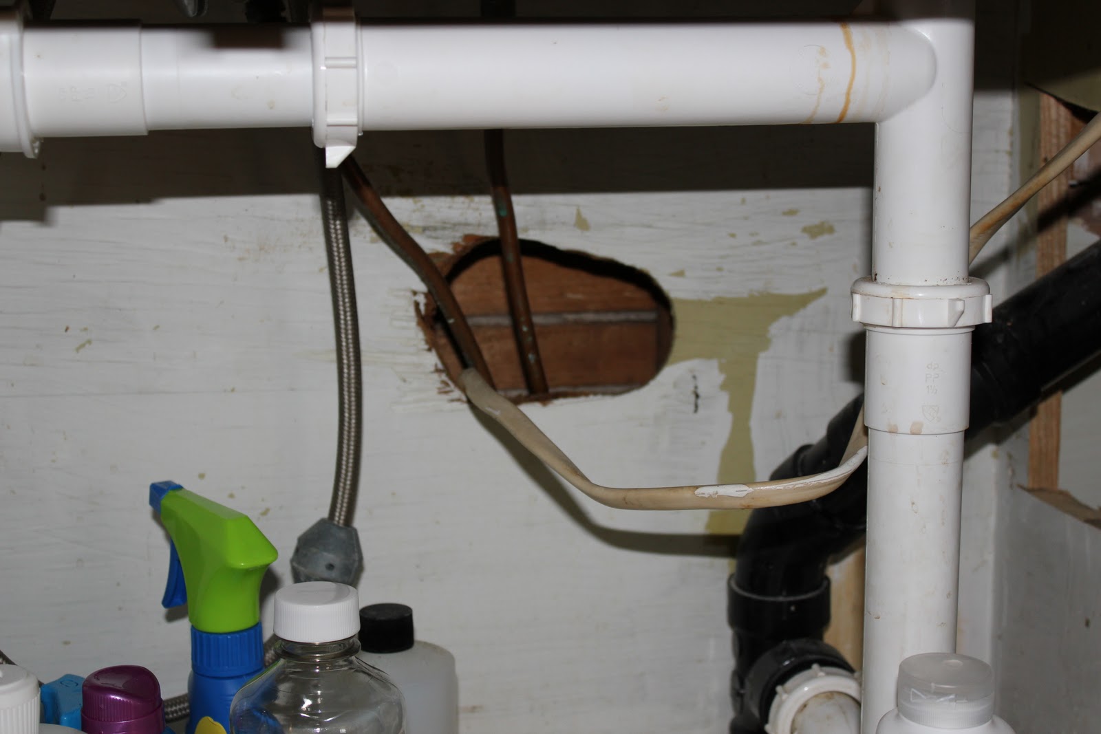 House on Hubbard Mouseproofing.