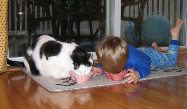 [cHILD+CATS+CRIANCAS+E+GATOS+(12).jpg]