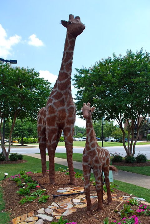 Giraffe Topiary