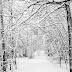Robert Frost: Stopping By Woods on a Snowy Evening