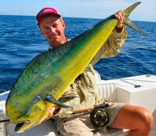 [Copy+of+Currier+&+Dorado.jpg]