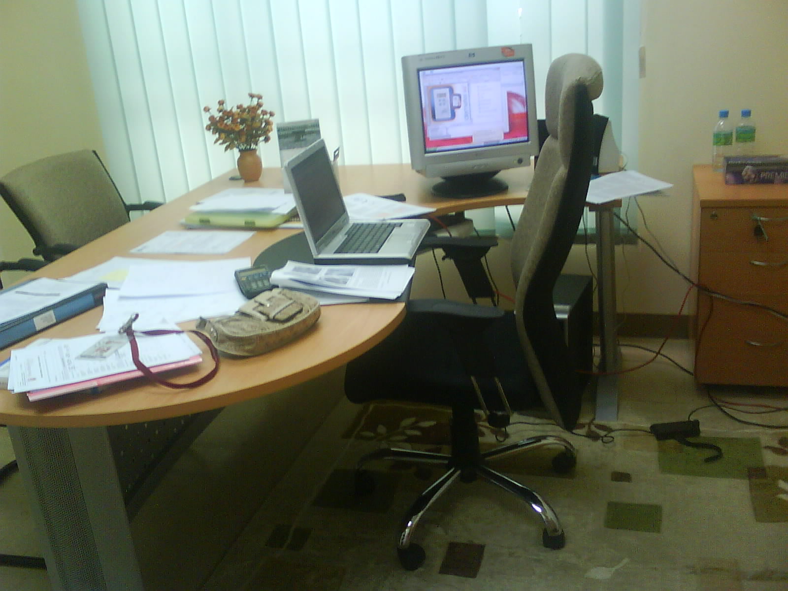 [DSC00086.JPG]