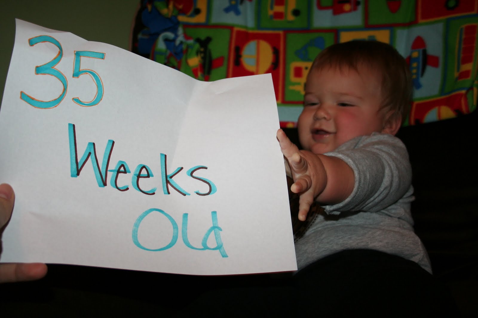 But not the armadillo