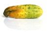 [cuke.JPG]