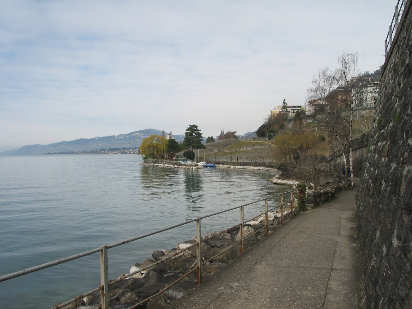 [IMG_0061.JPG]