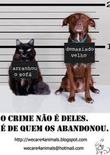 Não abandone os seus animais!
