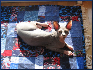 Dragonheart on his quilt