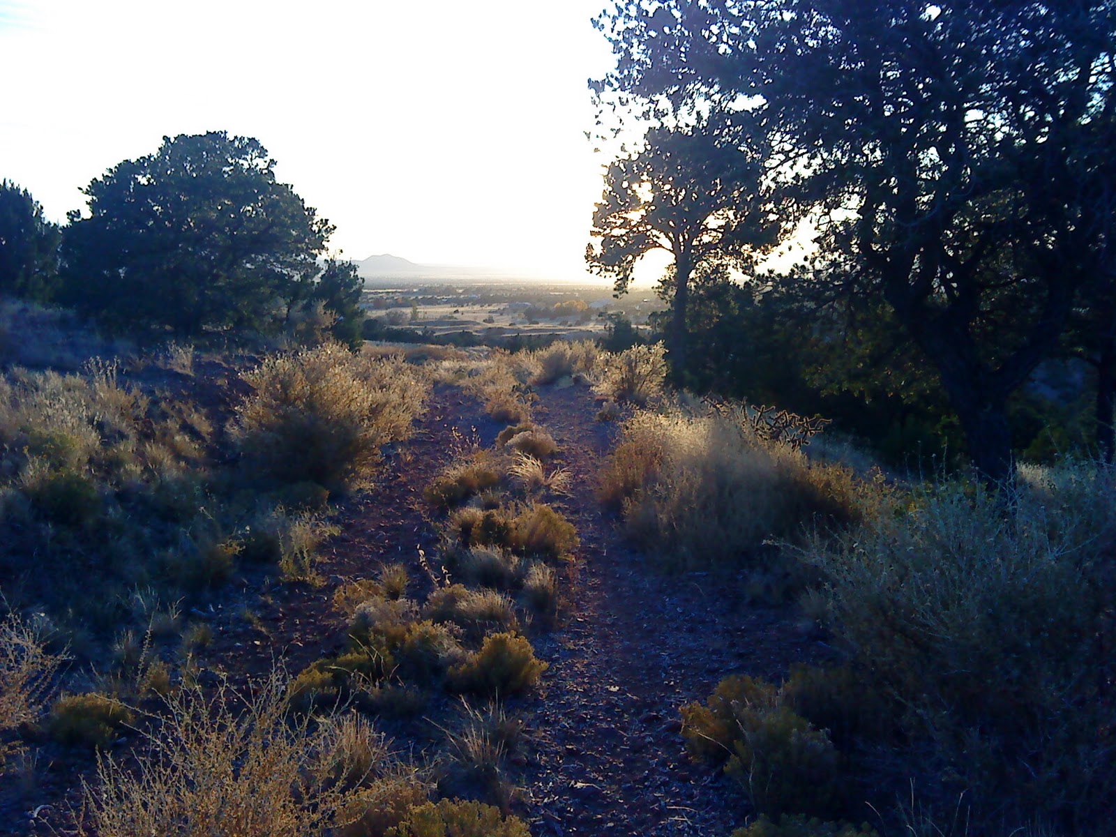 High Desert Dirt Arroyo Hondo Open Space