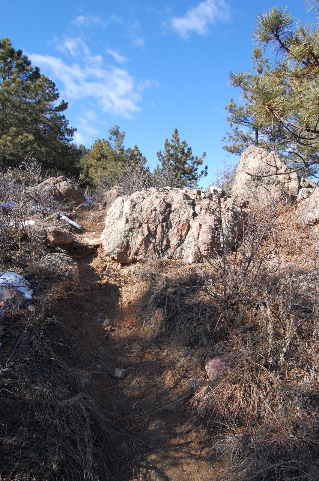 [DSC_0023.JPG]