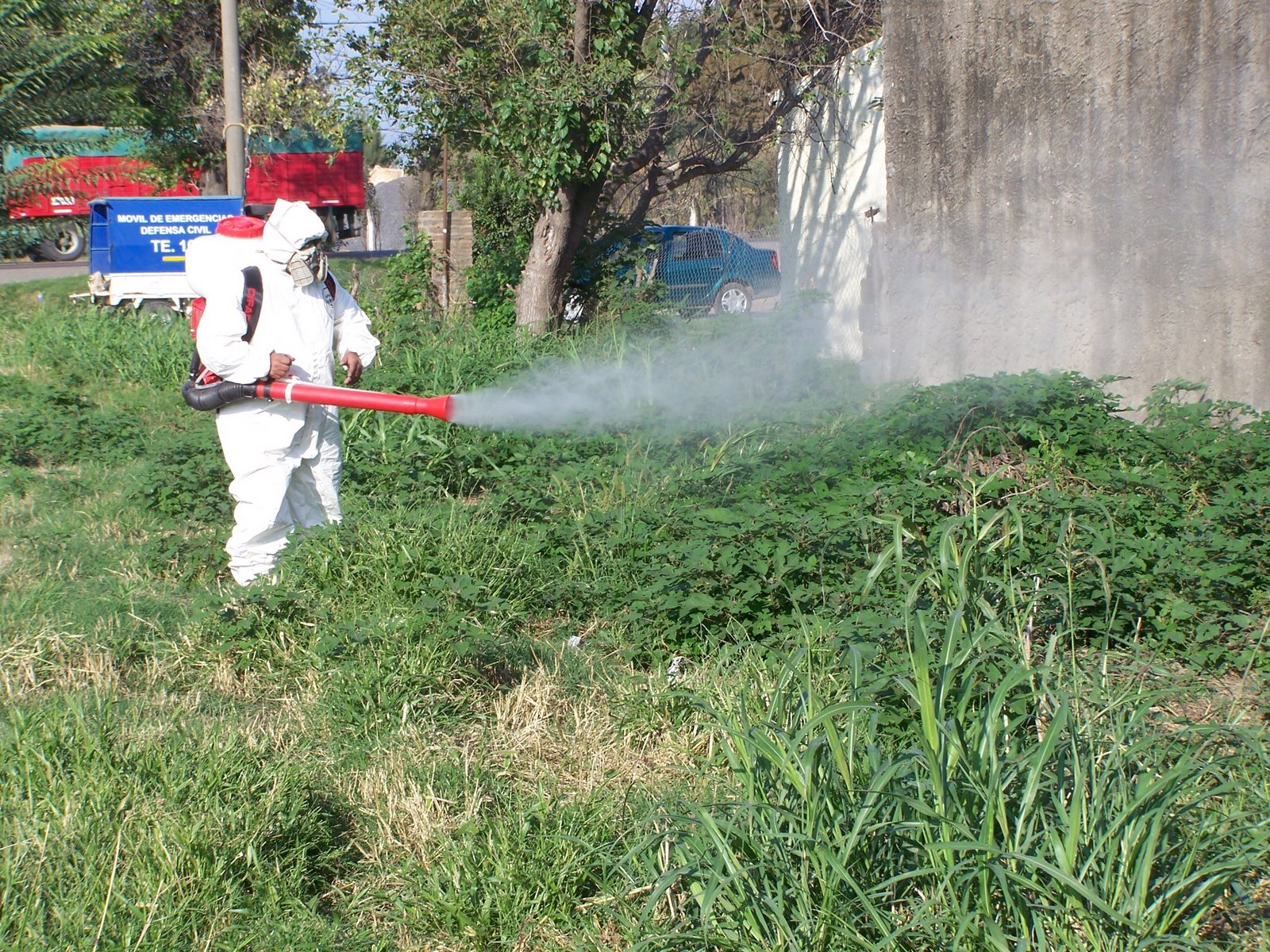 [fumigacion.JPG]