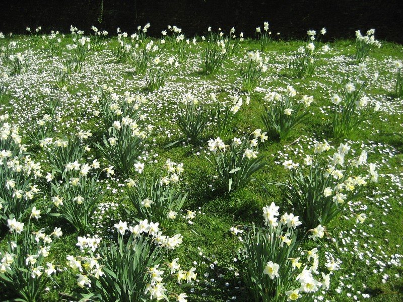 [garden06.JPG]