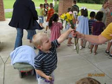 Flower for the Crowning of Mary