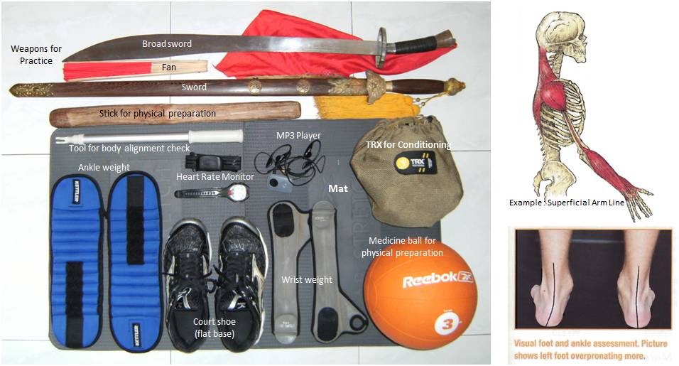 TaiChi Health and Fitness TAI CHI SYNERGY Tai Chi Equipment for Training