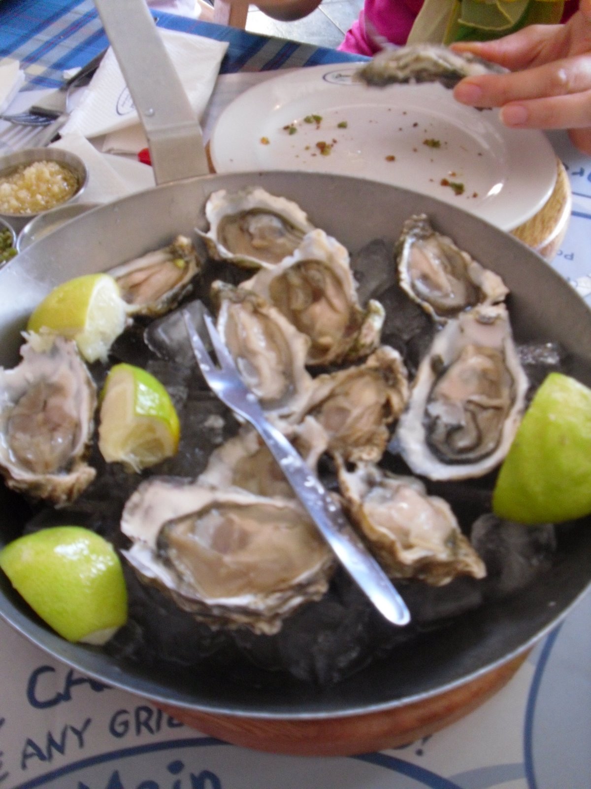 [SDC10319.JPG]