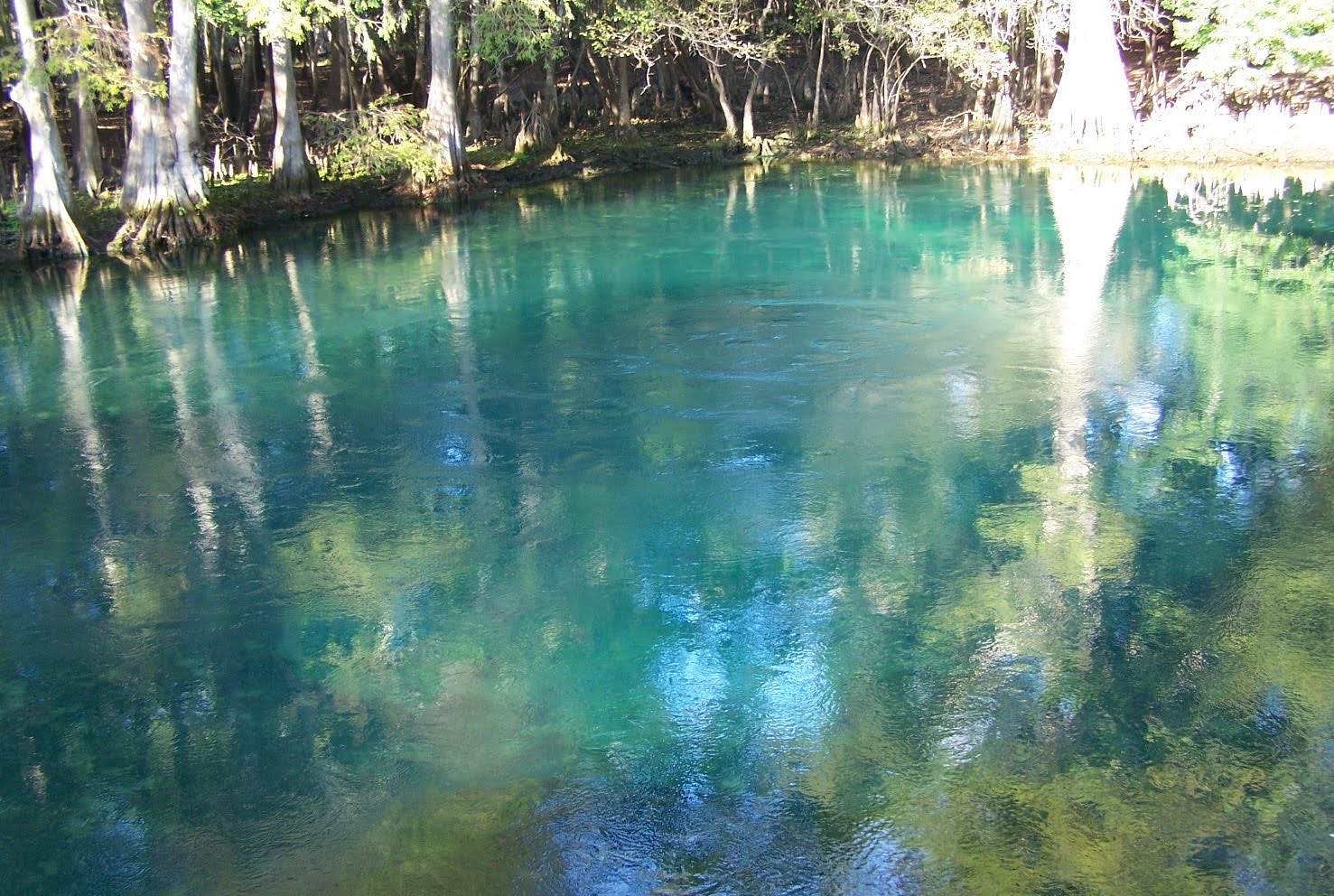 Springs In Mouth