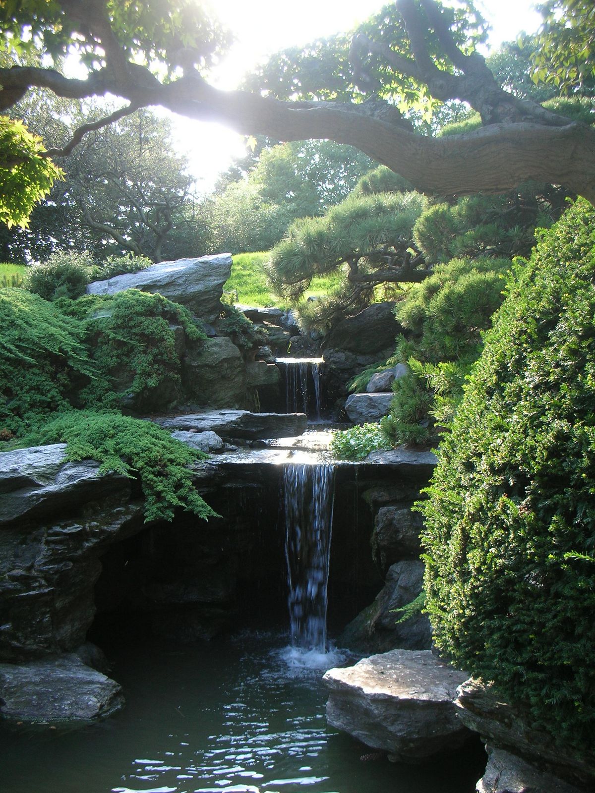 [Botanical+Garden.JPG]