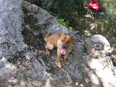 camping creek side (next to bristol motor speedway)