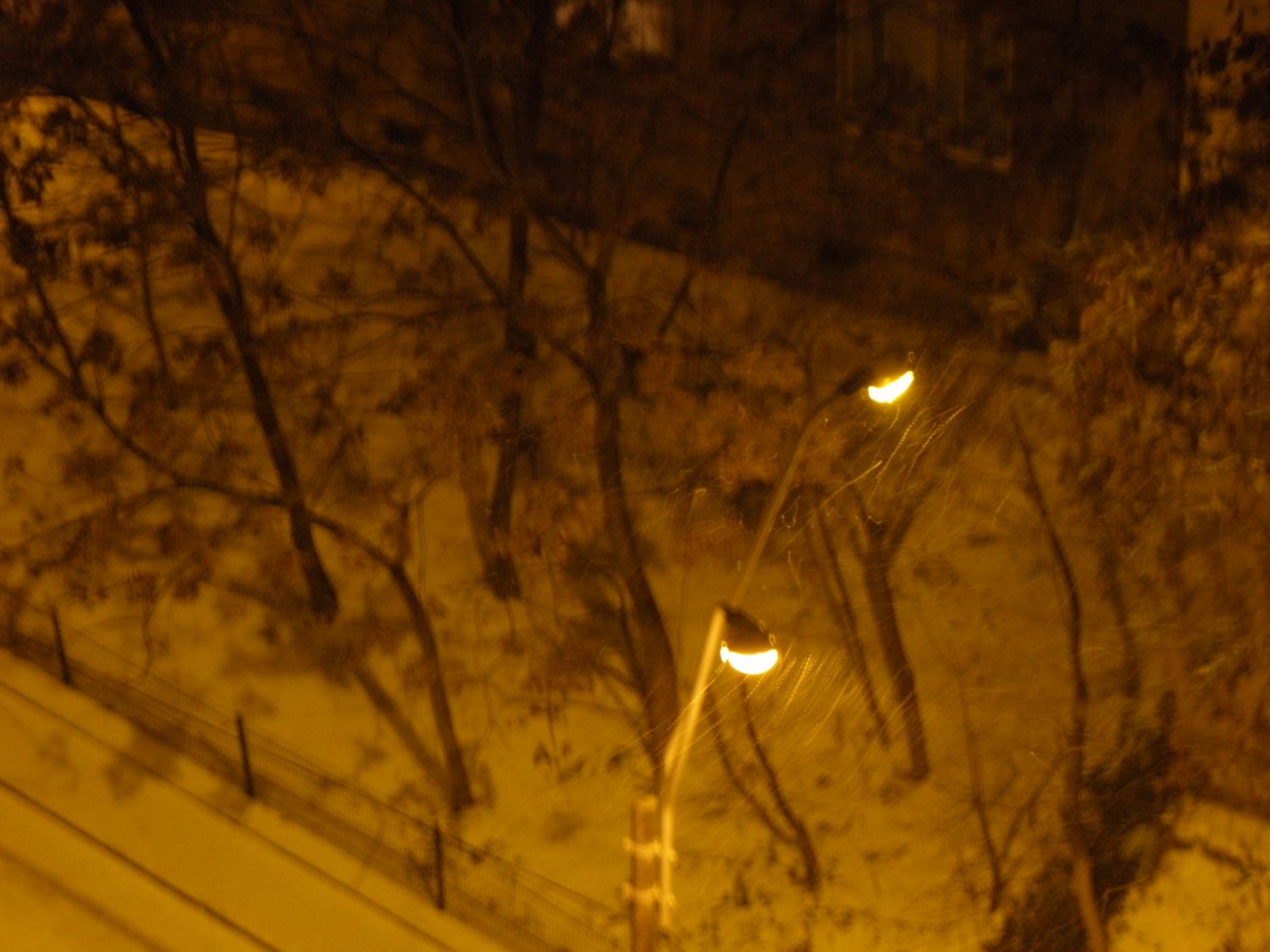[PC160005.JPG]