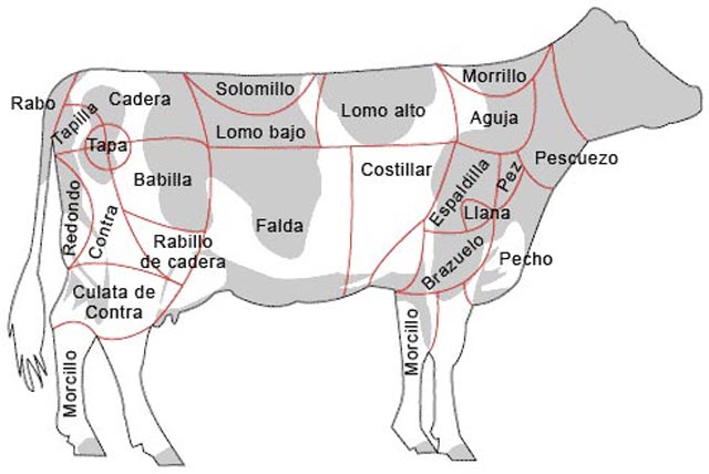 Cortes de carne Argentina/España/Venezuela DIBUJO+DESPIECE