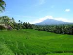 Pemandangan Alam ...