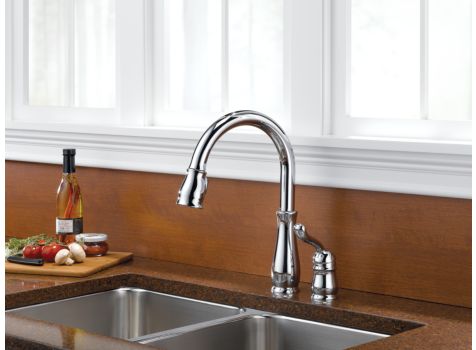  purchase with Delta, with their Lifetime Faucet and Finish Warranty.