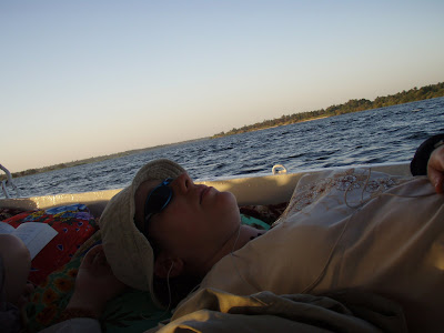 que fait un crocodile quand il en rencontre un autre il l accoste