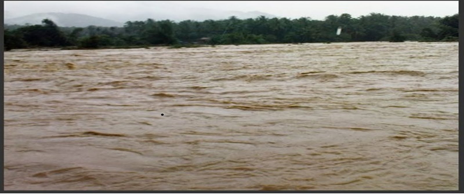 Nilambur Forest