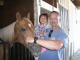 horse barns at the fair!