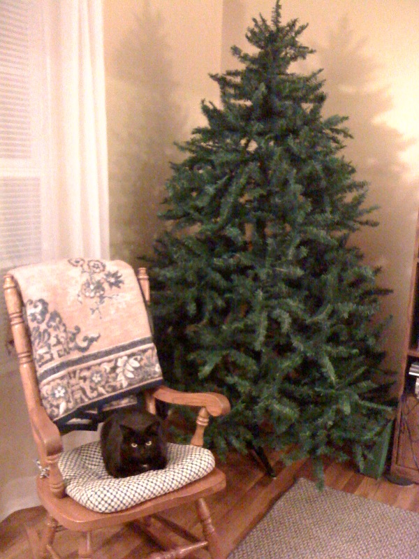 Tree living christmas room waiting links ve been Bekka's Blog: November 2010