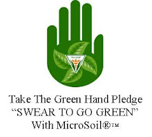 Take The Green Hand Pledge