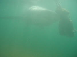 Going for the bait!