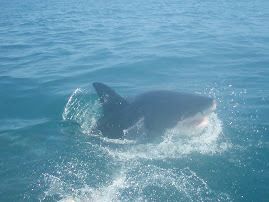 A few seconds later!!