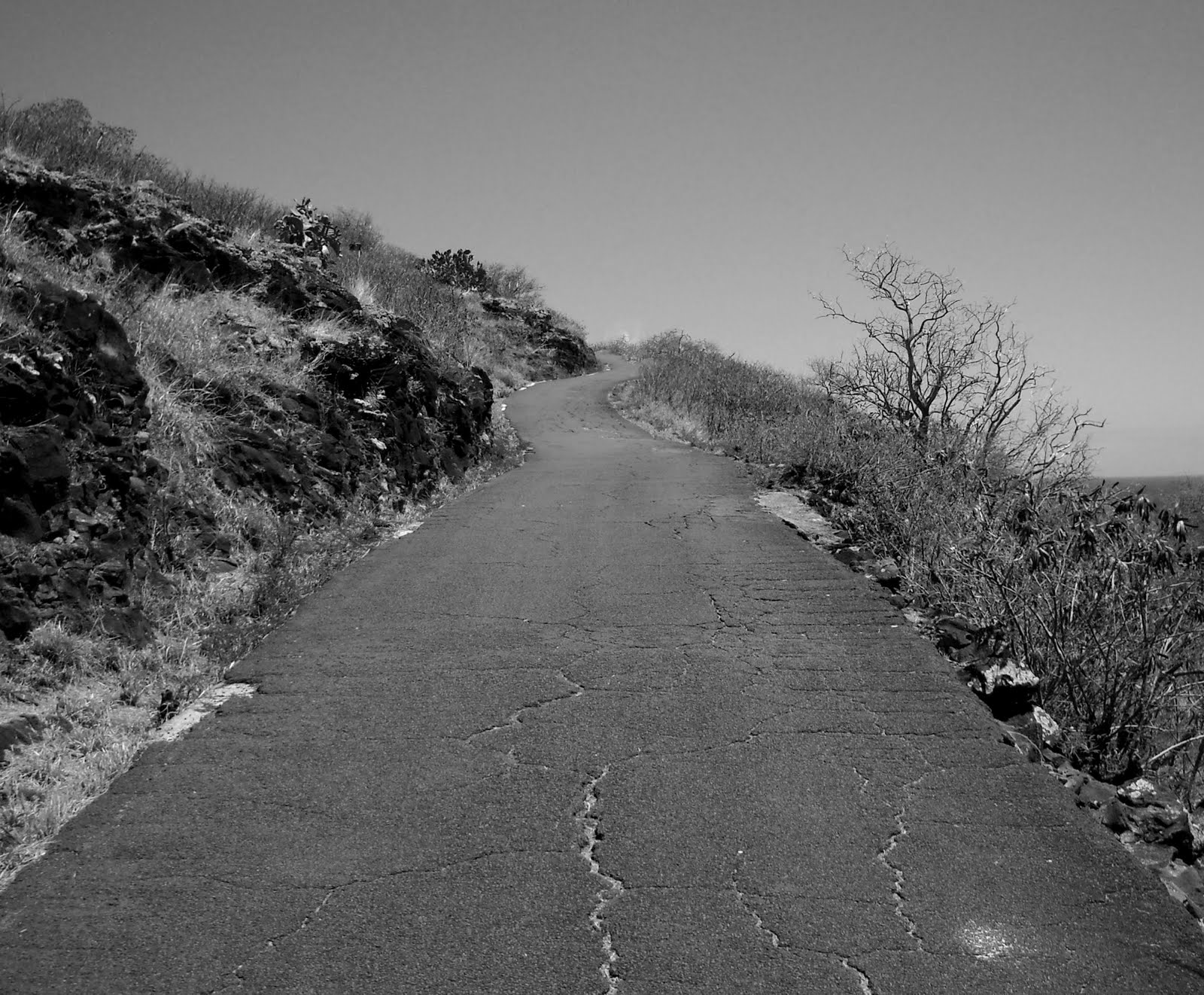Lost Road
